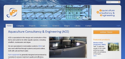 Detail van de website ACE4all