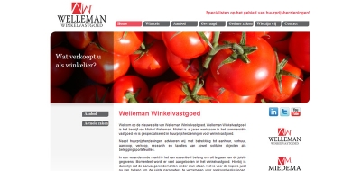 Detail van de website van Welleman winkelvastgoed