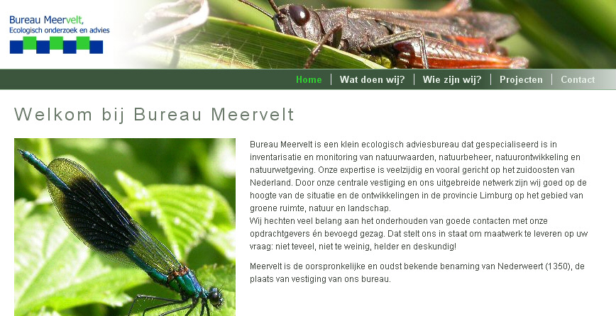 Detail van de website van Bureau Meervelt