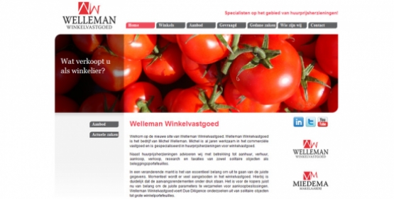 Detail van de website van Welleman winkelvastgoed